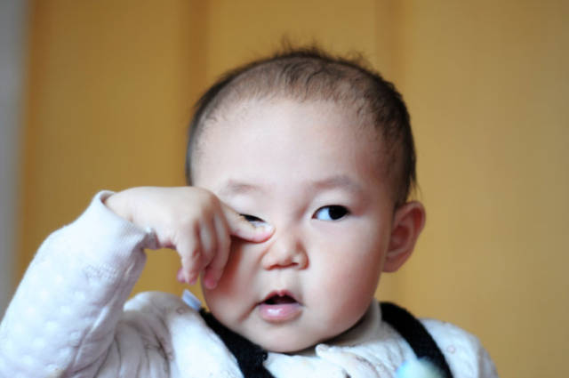 8个月宝宝适合玩什么游戏 a68c08aefb1e4f83aba3f075cfdc8209.jpeg