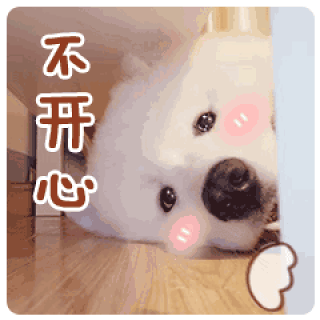掌声送给你.