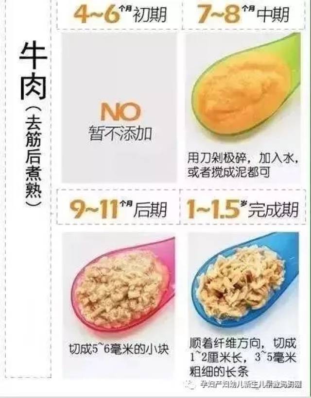 宝宝辅食添加时间顺序和种类 b1baf863bfb644e198f32361a5429e6e.jpeg