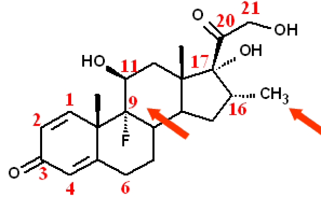 d09bd12b0270405b9e07c74f88fa9555.jpg
