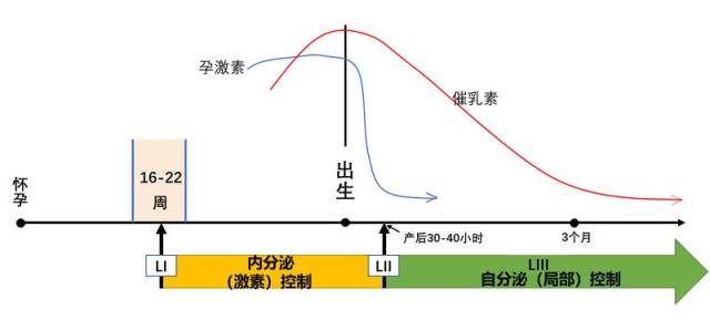 网传的下奶方都不靠谱,催奶其实只有一个字!