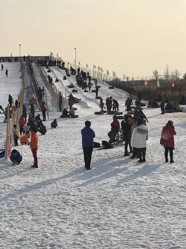 衡水湖闾里滑雪场始建于2015年,是衡水目前唯一一家滑板滑雪场,建有