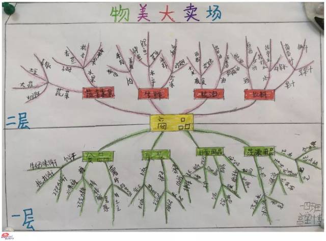 建构分类思维导图 架起"思维共振"桥梁