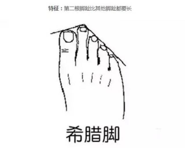 第二根脚趾比其他脚趾都长