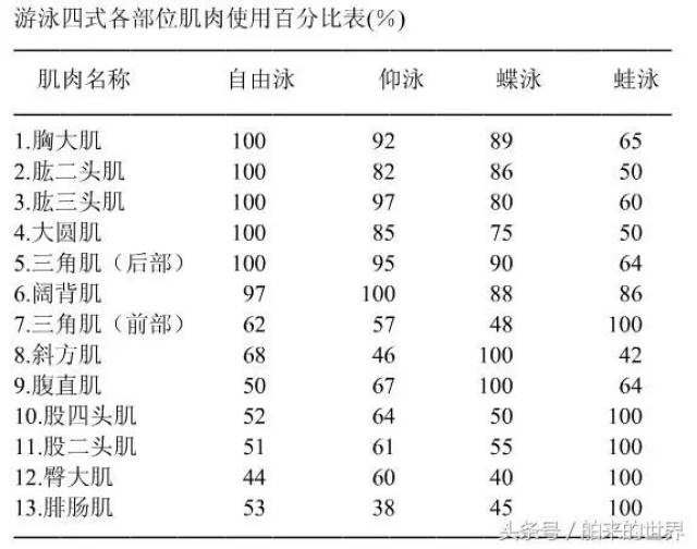 [游泳健身]泳者塑身,不同的泳姿训练的肌肉部位各有不同!