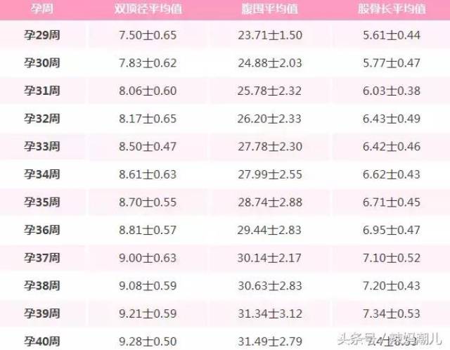 教你怎么看懂b超单,新手孕妈快速学习!