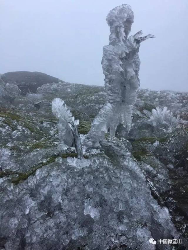 简直美爆了!蓝山县云冰山雾凇景观,赶紧约起