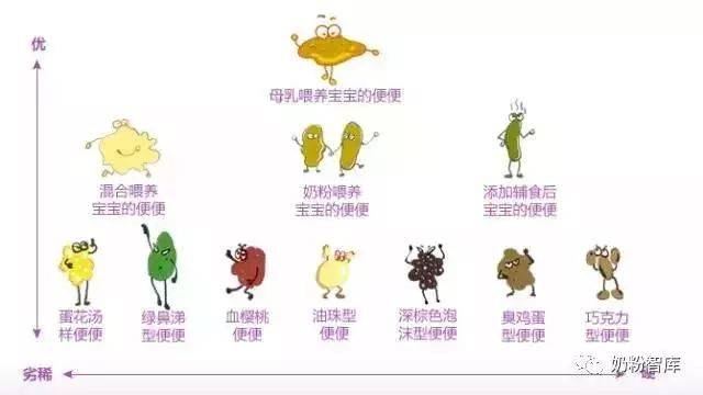 【阳阳课堂】母乳或奶粉喂养时,大便怎样算正常?