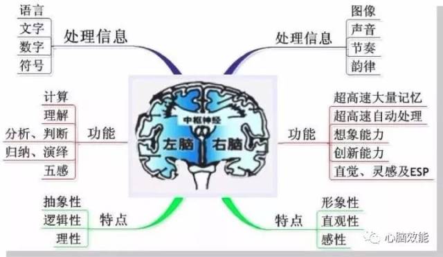 妈网推荐|esp超感知脑潜能启发课是怎么训练的?对孩子