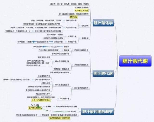 生物化学思维导图集合