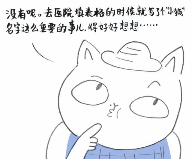 【漫画】养猫之后,搞不懂的事情更多了—第三回