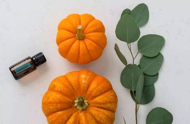 32种精油蕴含的心灵能量!