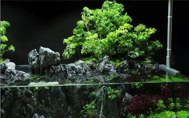 上水石做的水陆缸 9bd06b7a331c4f9f81878775f1722e73.jpeg