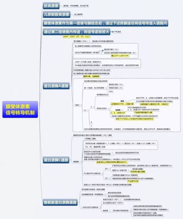 真核基因表达调控