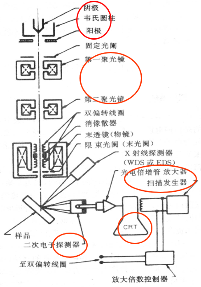 扫描电子显微镜的工作原理及应用