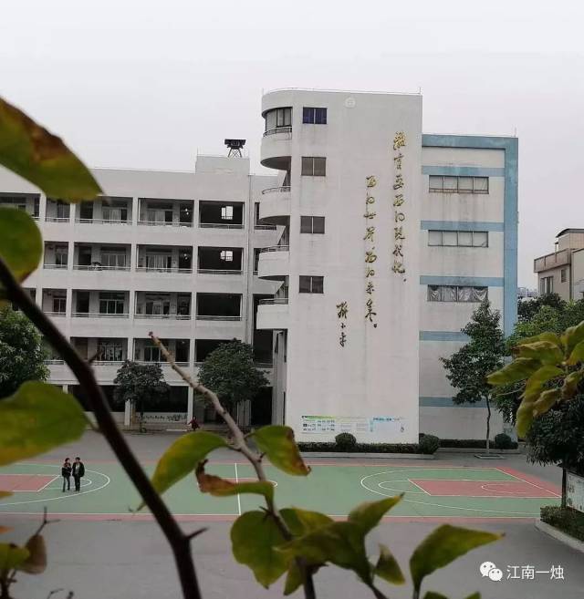 云路小学行走随记_手机搜狐网