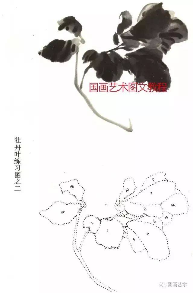 画牡丹叶要有层次,可运用焦,浓,重,淡,清等墨色.图片