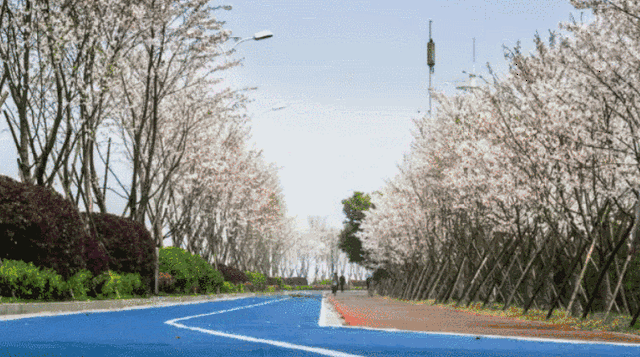 大吉大利,完成吃鸡!