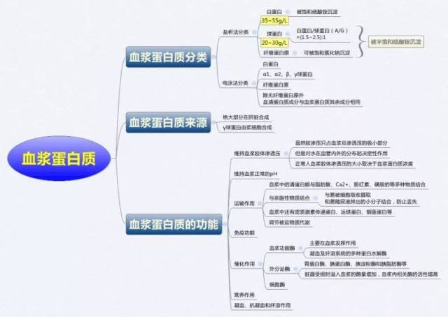 生物化学思维导图集合