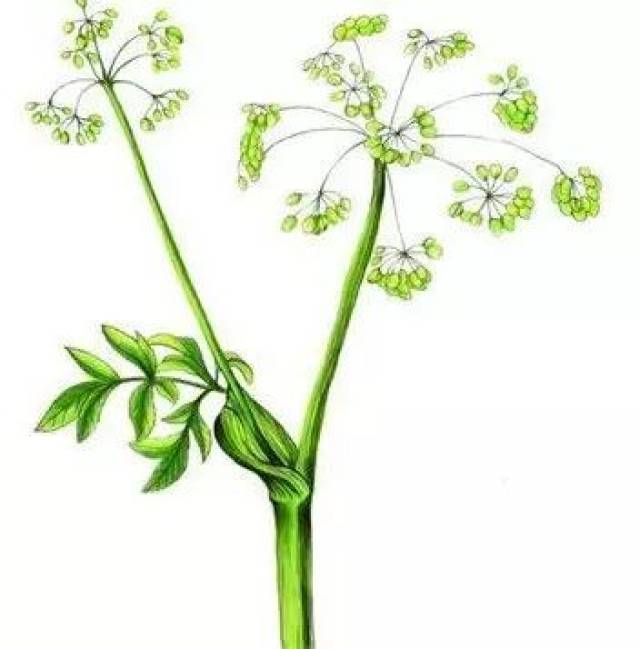 每周一答(第一辑)答案篇