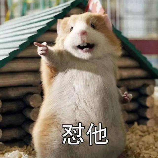 2017十大网络流行语选出， 贫穷限制了我的想象