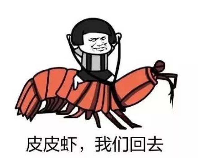 2017十大网络流行语选出， 贫穷限制了我的想象