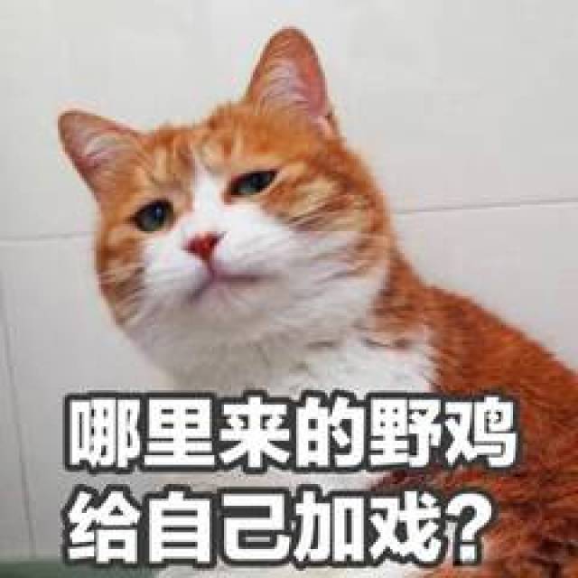 2017十大网络流行语选出， 贫穷限制了我的想象