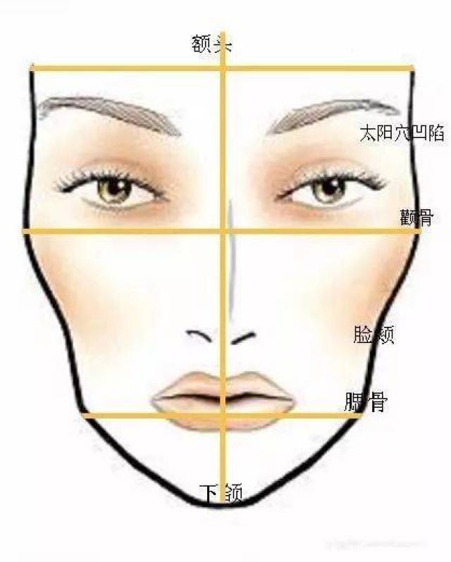 脸部宽度——颧骨横向宽度,大小脸. 3.