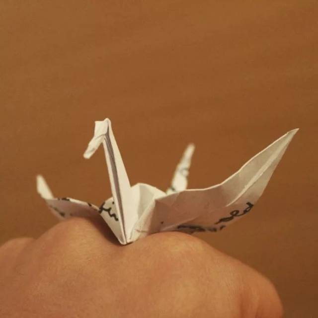每天折一只千纸鹤,他坚持了1000天不重样