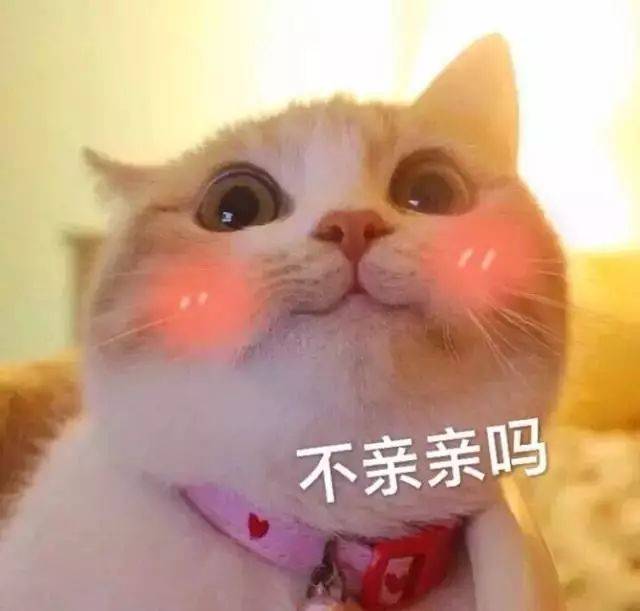 0e2de252d55b4979ad4f83f2dcdfea8b.jpeg