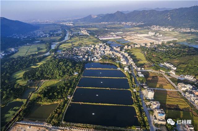 坪埔村是广东湘桥区意溪镇的下辖村,紧挨书厝楼村,后径村,荆山村.