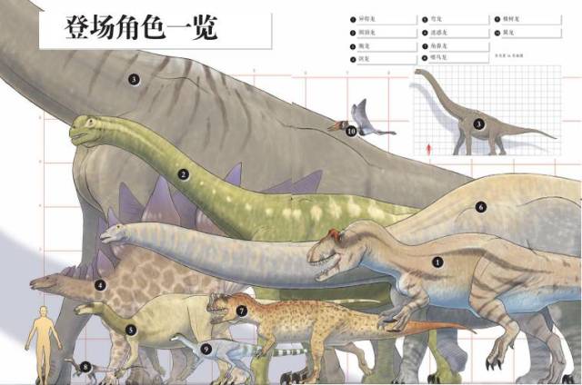 这是水母的化石,要不是看了文字介绍,我还真是没看出来这是水母啊.