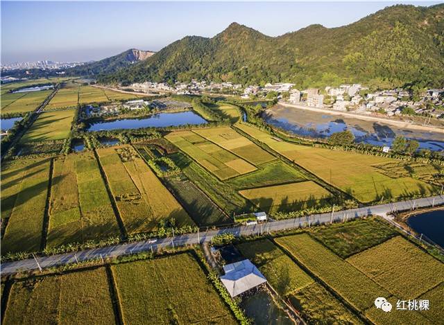 坪埔村是广东湘桥区意溪镇的下辖村,紧挨书厝楼村,后径村,荆山村.