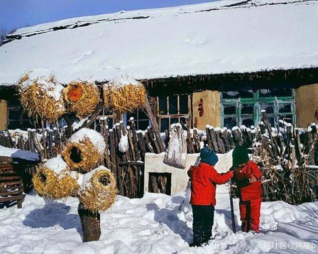 这张图片可能见过的人不少,比较典型的东北农村景象,"无雪不冬".