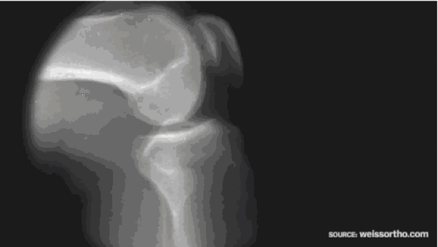 2ad4b14311eb44cba6dab465701a29c9.gif