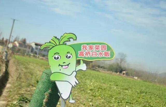 冬至享约白水畈|乡约萝卜小镇 畅享亲子萝趣