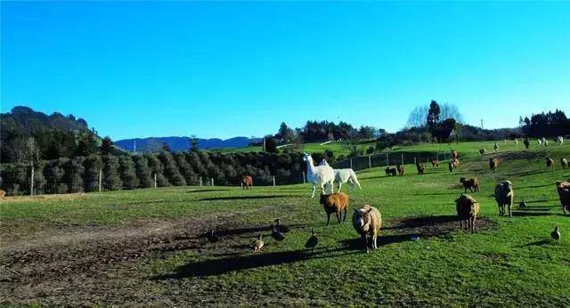 南纬30度,去澳洲当个农场主可好?