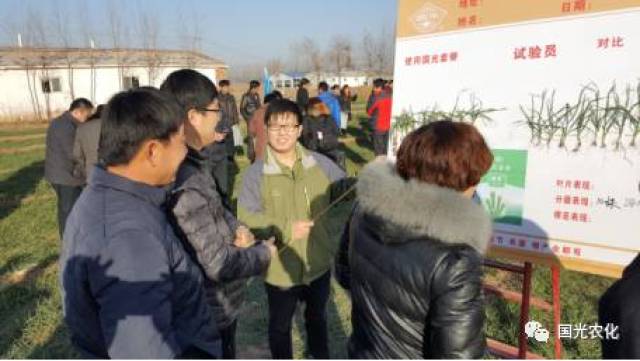 【产品介绍】国光矮丰套餐助力，小麦高产不再靠多播！