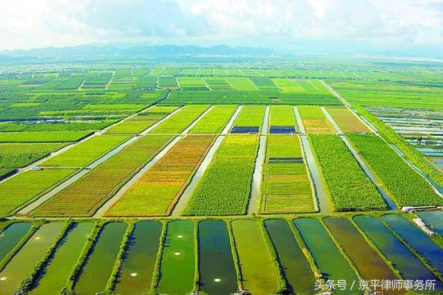 2018年土地确权马上结束,征地拆迁就看它了