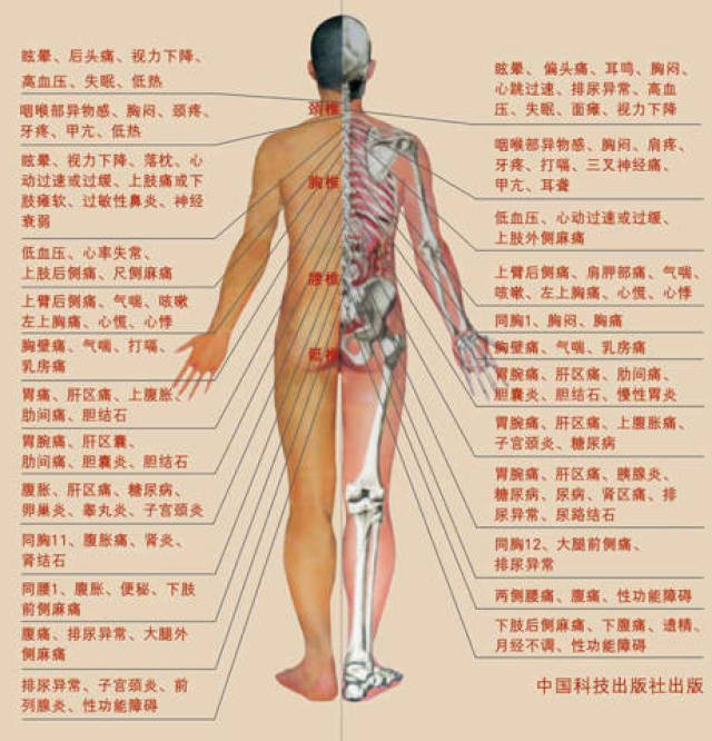 【腋下】 腋窝的极泉穴是心经的重要穴位,可以去心脏的郁火毒素,应