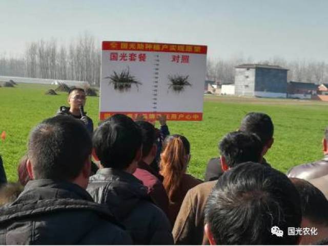【产品介绍】国光矮丰套餐助力，小麦高产不再靠多播！