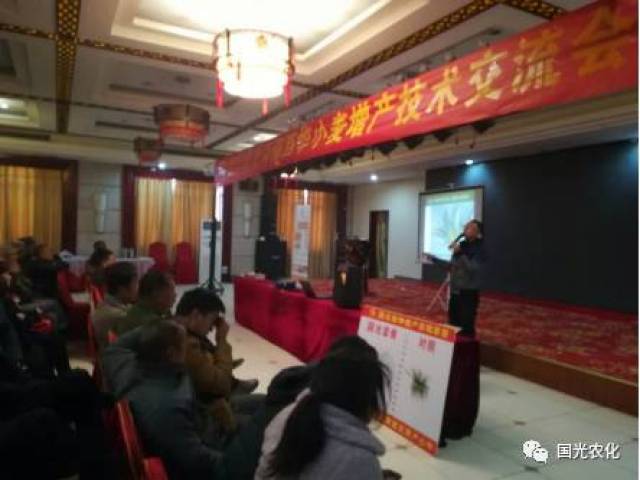 【产品介绍】国光矮丰套餐助力，小麦高产不再靠多播！