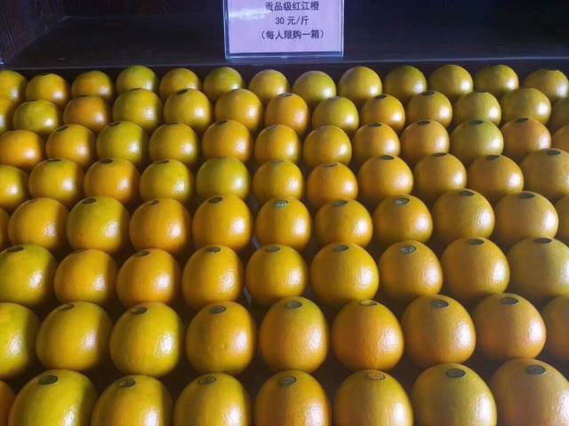 【臻品推荐】广东湛江红江农场红江橙,表姐家
