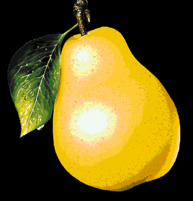 水果 植物 500_520 gif 动态图 动图