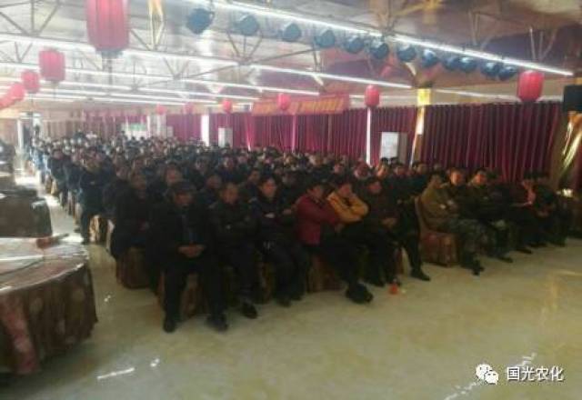 【产品介绍】国光矮丰套餐助力，小麦高产不再靠多播！