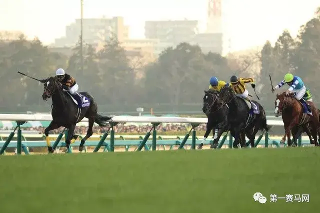 赛马:日本马王"北部玄驹"夺有马纪念赛冠军,以七项一级赛盟主头衔光荣