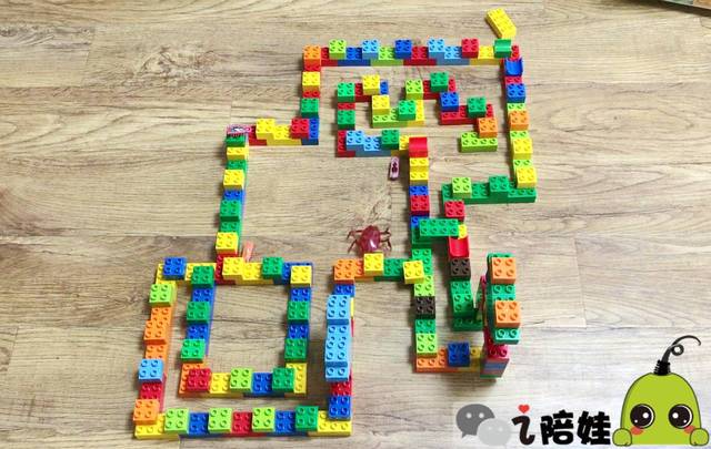 作为乐高骨灰级粉丝的芊,也设计过两种迷宫,每次的关卡和障碍都不一样