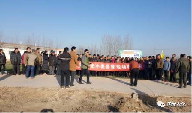 【产品介绍】国光矮丰套餐助力，小麦高产不再靠多播！