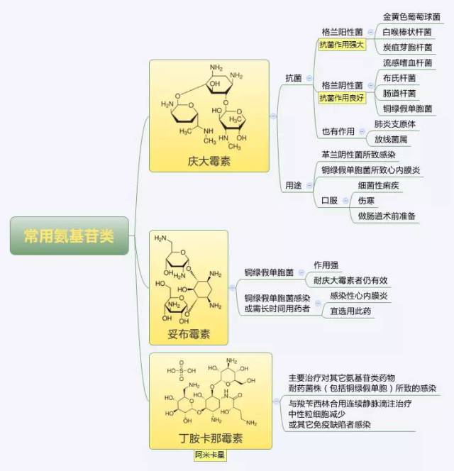 必看!药理学思维导图