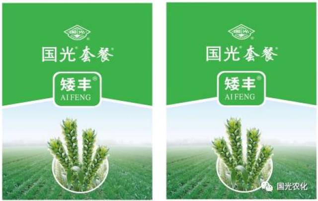 【产品介绍】国光矮丰套餐助力，小麦高产不再靠多播！